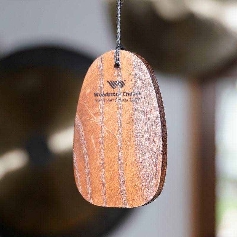 CAMPANA DE VIENTO SONATA CLARO DE LUNA (RESERVA)