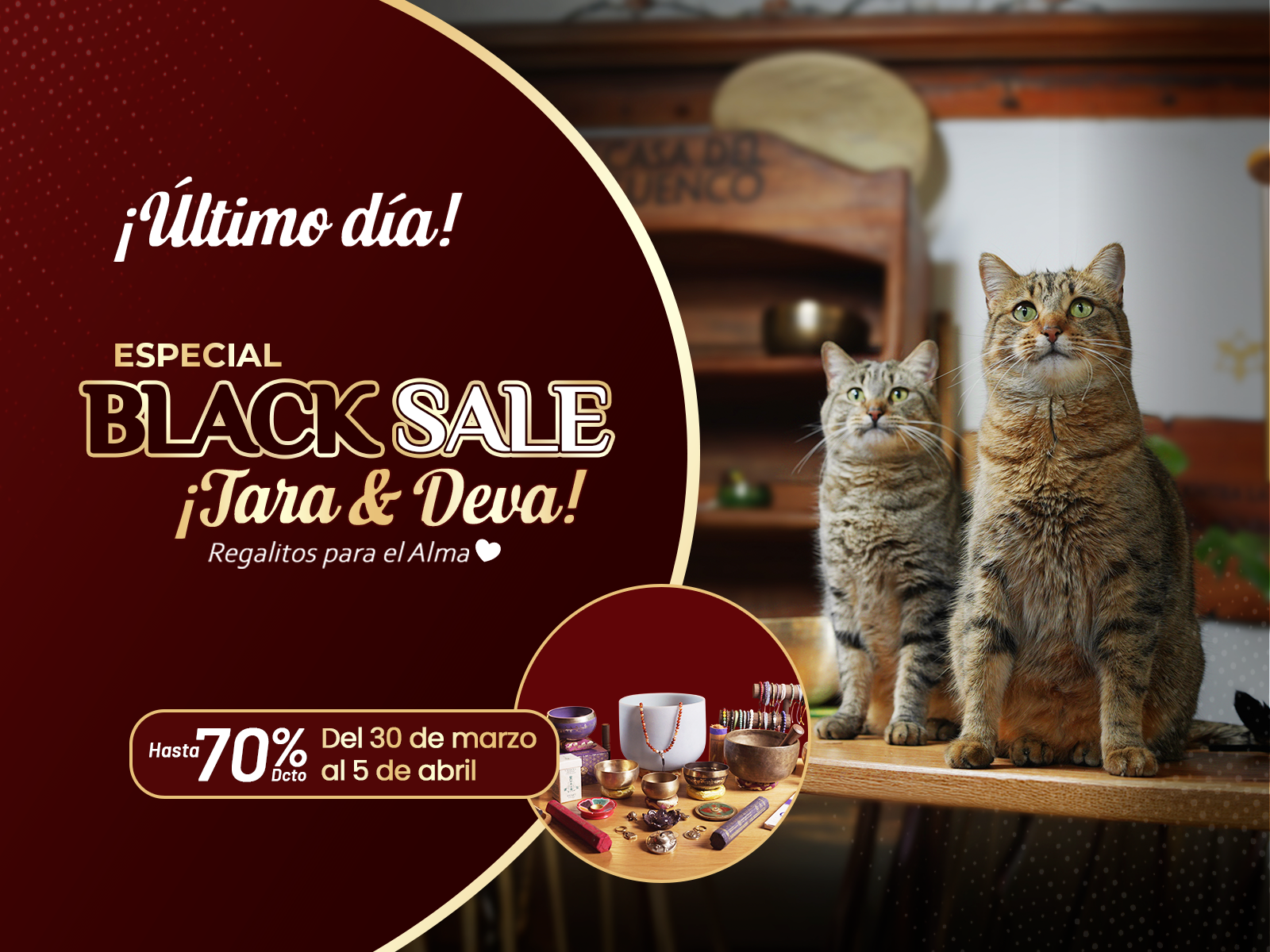 custom-slideshow-image-mobile-block_y9EFRn