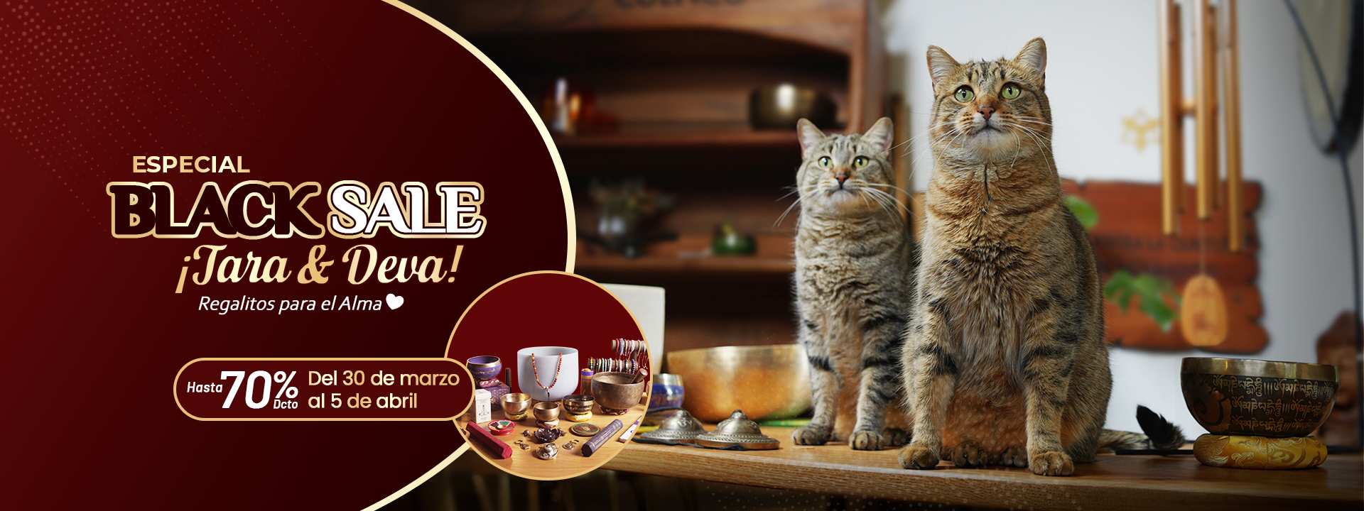 custom-slideshow-image-desktop-block_y9EFRn