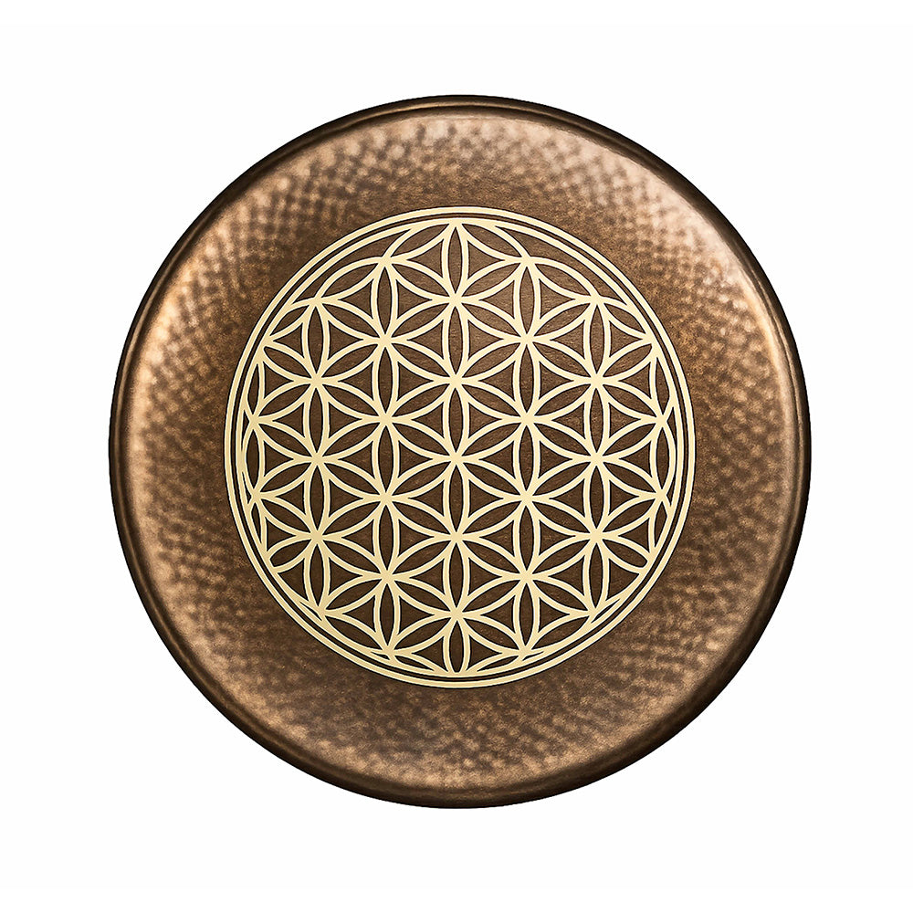 SYMPHONIC GONG - 45 CM (RESERVA)