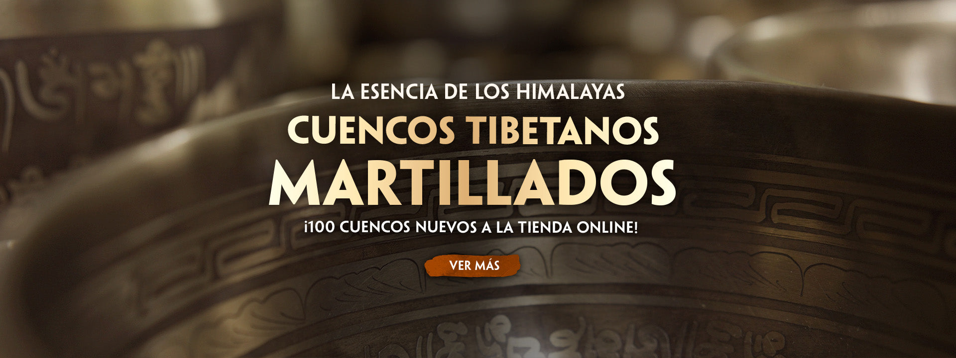 custom-slideshow-image-desktop-block_rggrn9